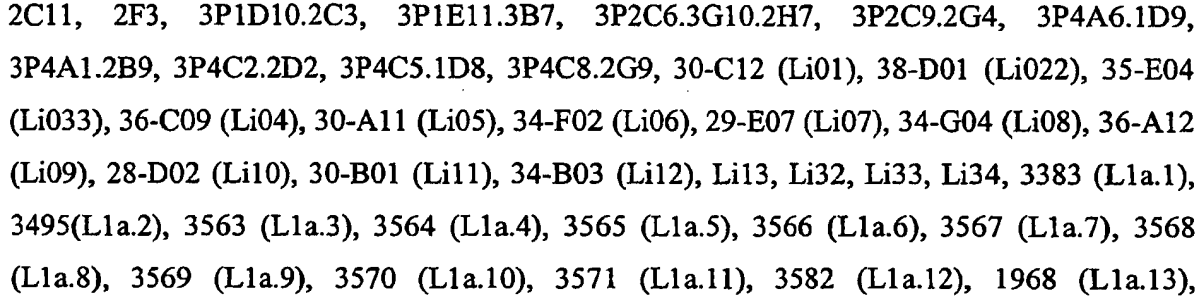 70 5 10 15 20 25 30 (VH) med tungkjede der CDR1-, CDR2- og CDR3-området har polypeptidsekvenser som er identiske med CDR1-, CDR2- og CDR3-gruppen som vises i tabell 4.