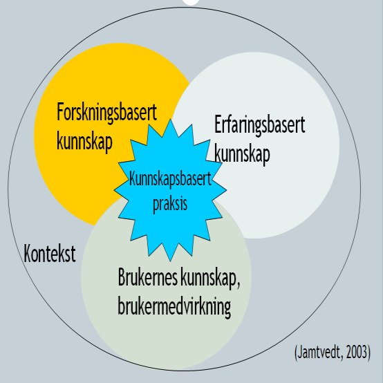 Alvorlig fedme 17 Kunnskapsbasert praksis (KBP) Forskning Brukerens