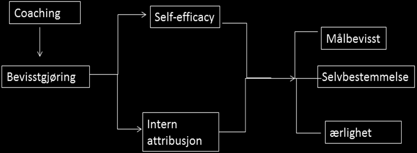 Diskusjon Modellen nedenfor kan være et utgangspunkt for en konseptmodell for videre forskning hvor man kan undersøke nærmere coachingprosessen gang i forhold til hvor effekten viser seg å inntreffe.