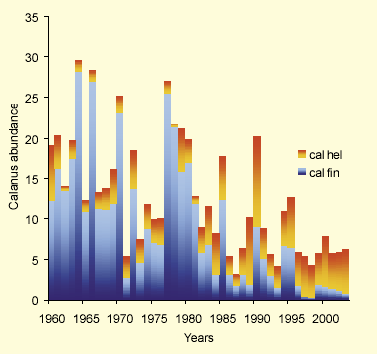 forekomsten av raudåte, som har vært relativt noe mer tallrik langs kysten av Skagerrak de kaldere årene vi har hatt i det siste.