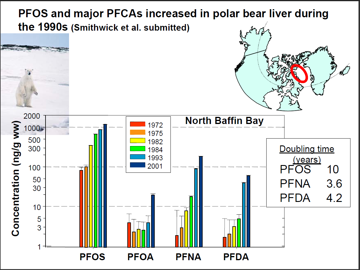 Figur 3: Nivåer av PFOS, PFOA, PFNA og PFDA i lever fra isbjørn i perioden 1972-2001.