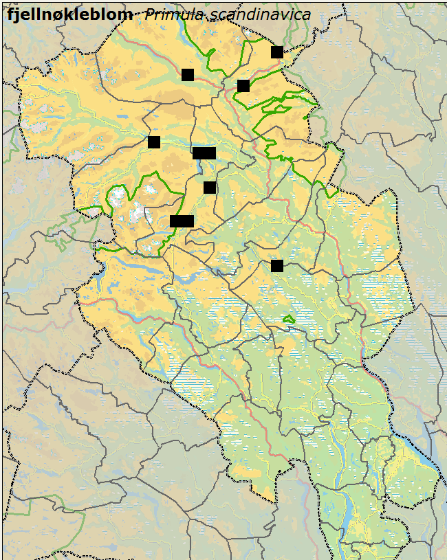 Atlas Utbredelse av arter i rutenett (bl.a. 1x1 km, 10x10 km) Artstetthet i