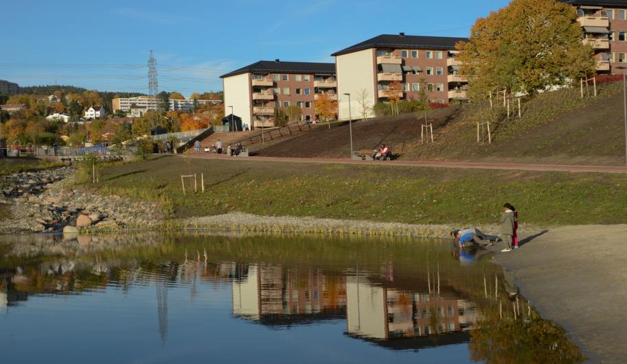 vekt på at brukermiljøer er involvert i prosjektene Sterk nordisk gruppe; bærekraft i fokus Mer og