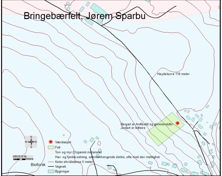 Figur 5. Flyfoto som viser plassering av bringebærfeltet på Jørem Gård nordøst for gårdstunet og under avlingsvegen som går gjennom tunet. Kilde: Norge digitalt ( Norge i bilder ).