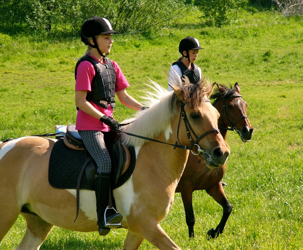 Rideskolen i ditt nærmiljø Lær å ri på historisk grunn Stall Blakstads rideskole har kurs for barn fra seks