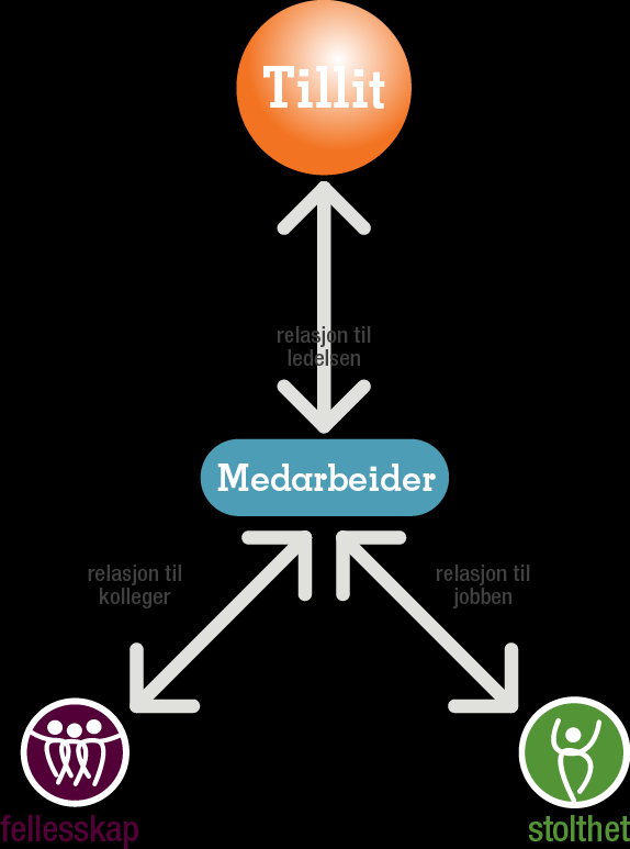 Metodisk Rammerverk Tillit er målestokken!