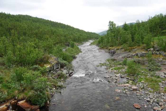 Friluftsliv Tilgang og tilkomst frihet bevegelse deltakelse Puls hvile samvær natur dyr og