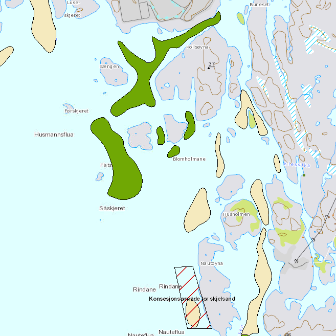 Figur 8. Oversiktskart over avgrensing av sikre (grøne felt) og moglege (lyse felt) skjelsandførekomstar i sjøområdet sør for Kollsnes. Konsesjonsområde for skjelsand er vest for Nautøyna.