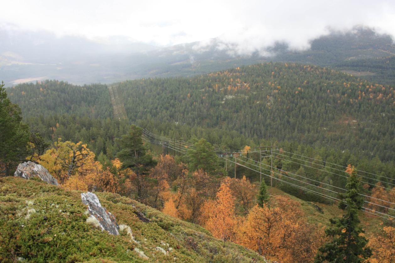 132 kv ledning mellom Rosten