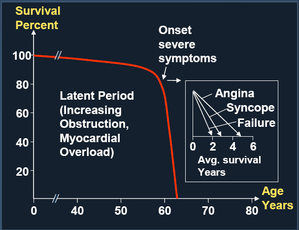 Severe Aortic Stenosis Significant Unmet Clinical Need Severe Aortic Stenosis patients typically require open-heart surgery.