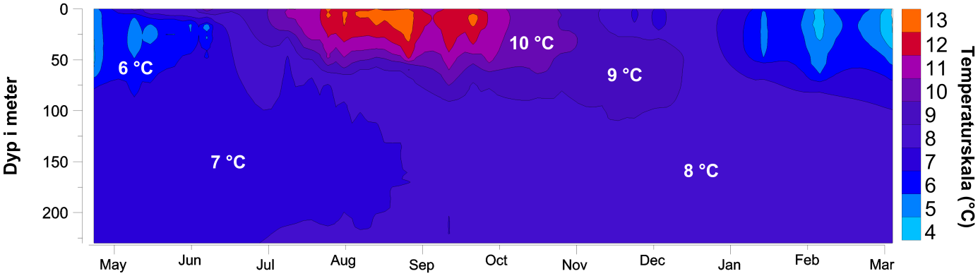 Temperaturmålingene i Mifjorden 2012 og 2013, viser tydelig temperaturskillene gjennom året.