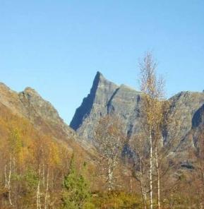Horningdalsrokken (1529 moh) Horningdalsrokken er en meget markant fjelltopp, og er med sine 1529 moh den høyeste toppen i Horningdal kommune.
