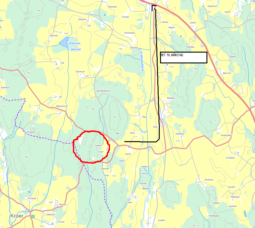 Det er kjempemasse gran i skogen, men i ytterkanten er det mange steder med små treer av bjørk og furu.