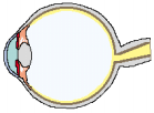 Fig. 1. Emisjonsområdene til dentale herdelamper med forskjellige lyskilder (9).