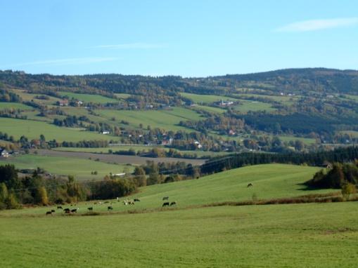 Landbruk Landbrukssatsinga til Regionrådet har i 2014 omfattet to prosjekter.