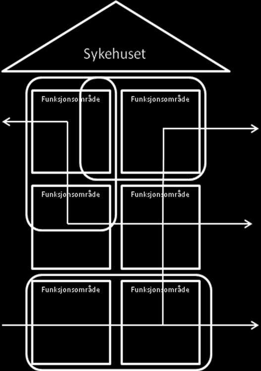 Figur 77 Pasientforløp: pasientenes vei gjennom sykehuset (rødt), på tvers av organisatoriske enheter (grønt) og fysiske funksjonsområder (blått).