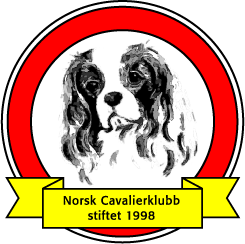 Cavalier King Charles