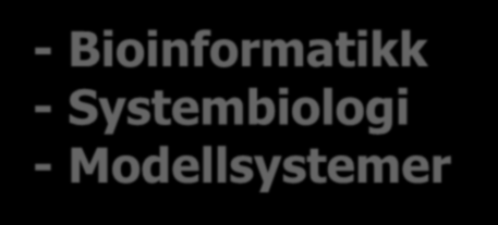 - Bioinformatikk -