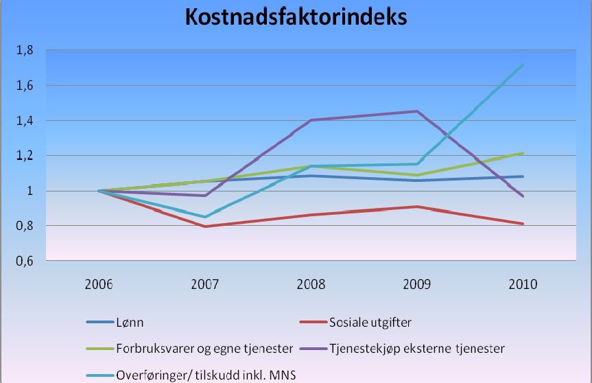 3.3 Driftsutgifter Kommunens driftsutgifter kan grupperes i 3 hovedkategorier : - Lønn og sosiale utgifter (pensjonsutgifter og arbeidsgiveravgift) som utgjorde 59 % av kommunens samlede