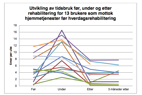 Verdi for kommunen Fra KS-rapport (Fürst og Høverstad 2014) Sitat kommunal leder: Vi må ha is i magen det vil si at vi