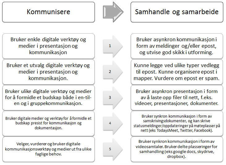 Elluminate - som alle støtter deling av skrivebord, deling av filer og videosamtale. Hva innebærer begrepet digital dømmekraft?