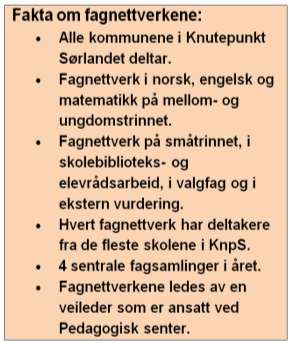 Fagnettverk Ungdomstrinnet har egne fagnettverk i engelsk, norsk, matematikk og valgfag, mens mellomtrinnet har fagnettverk i engelsk, norsk og matematikk.