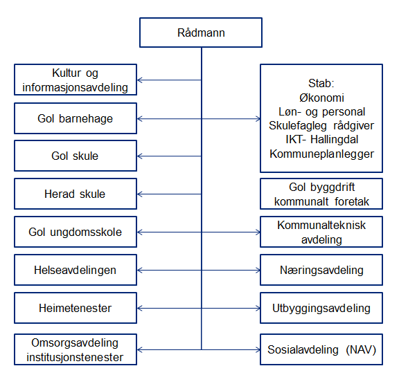 2. Beskrivelse av nåsituasjon i helse- og omsorgstjenestene i Gol 2.1 Innledning Planprosessen har vært todelt, hvor foreliggende plandokument bygger på en rapport utarbeidet av Deloitte.