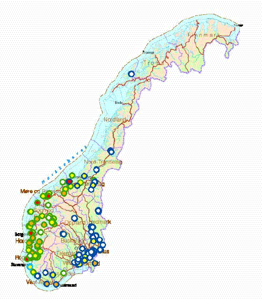 Flått og flue historikk