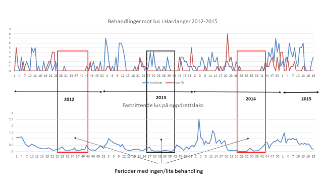 Figur 4. Den øverste delen av figuren viser antall avlusninger pr uke i Hardanger 2012-2015. Den nederste delen viser fastsittende lus på oppdrettslaks samme periode.