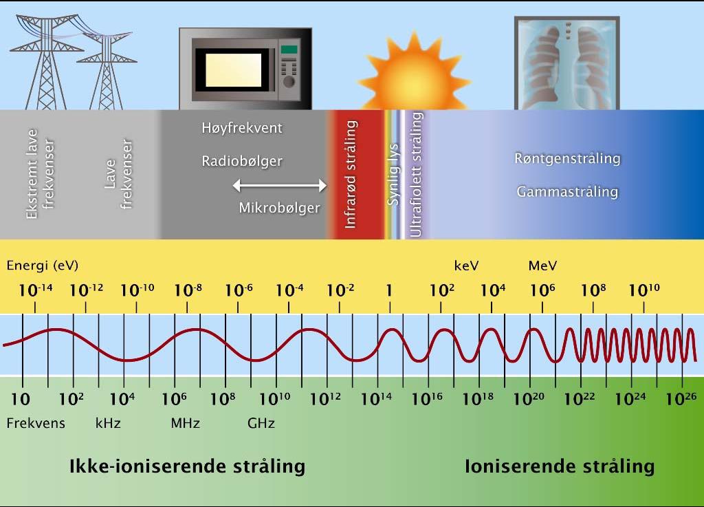 Det elektromagnetiske