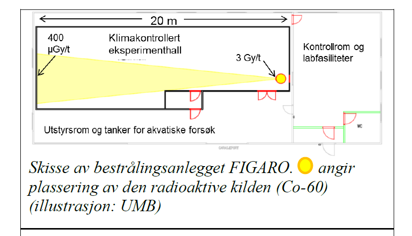 Figaro doseraten avtar gjennom hallen