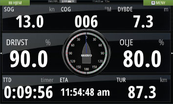 13 Instrumentpaneler Instruments-panelene består av flere målere (analoge, digitale og stolper) som kan tilpasses slik at de viser valgte data.