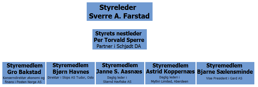 Styret består av syv personer med variert bakgrunn og lederstillinger.