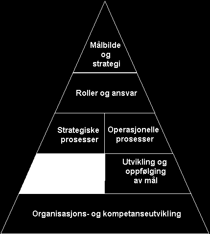 Skatteetatens Anskaffelsesstrategien 2011-2015 - Systemer og teknologi HOVEDMÅLBILDE Hele