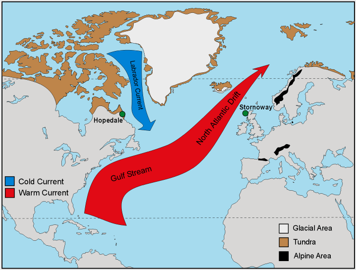 2. Vanntemperatur Gulfstrømmen Norske farvann i nord er mye varmere enn andre farvann beliggende på samme