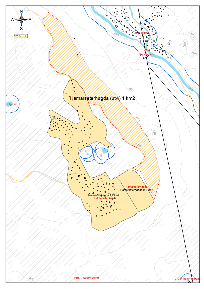 Figur 19: Illustrasjon av Hammarseterhøgda. En aktuell vurdering av feltutvidelse med areal 0,7 km 2 øst for vegen og mellom kote 680 og 700 moh er avgrenset med skravur.