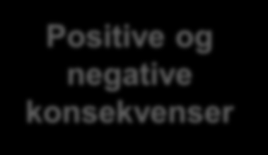 Jobbkrav Jobbressurser Negative opplevelser Positive opplevelser Positive og negative