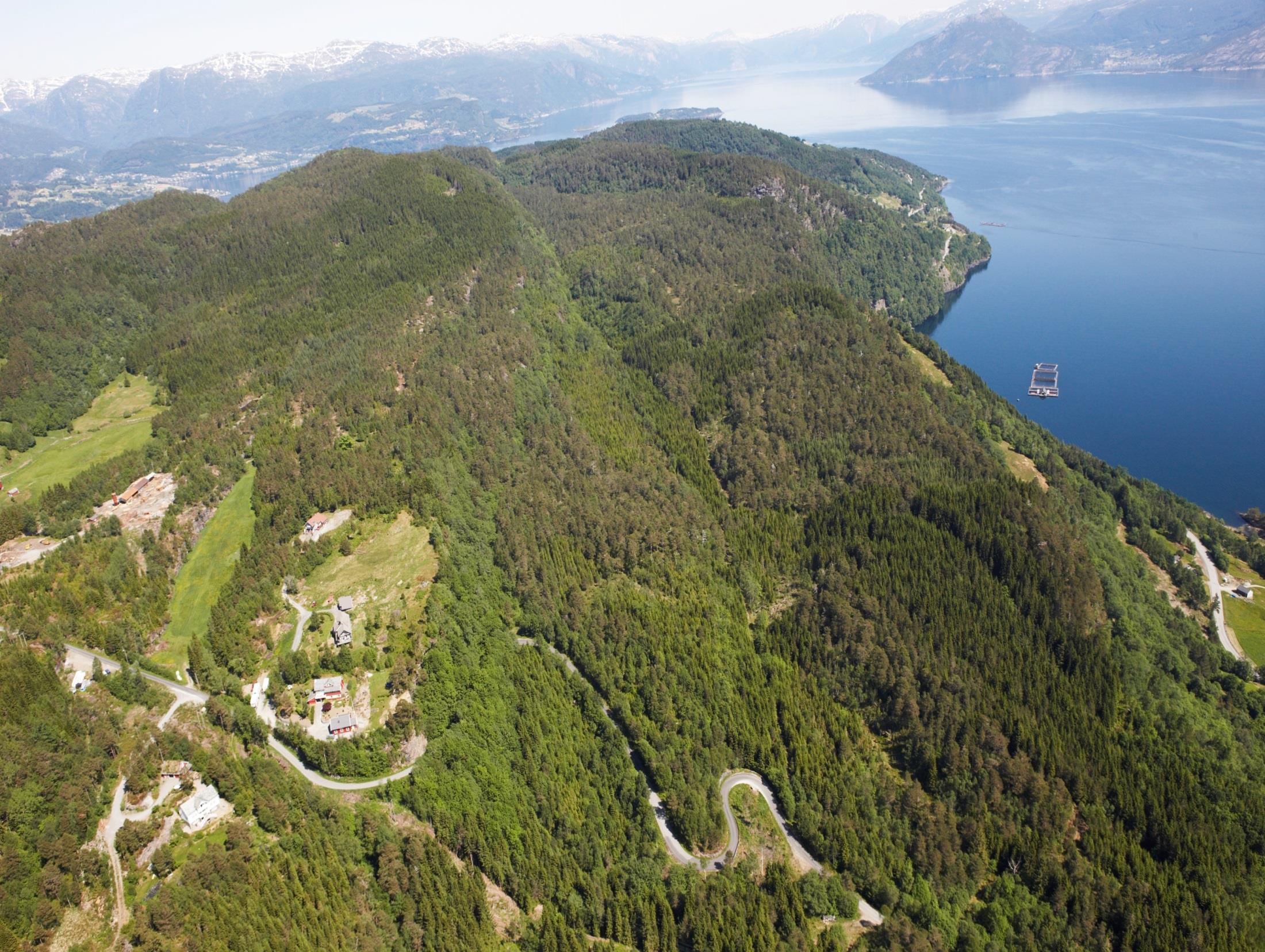 Skyteanlegg i Vangdalsåsen Vegen til