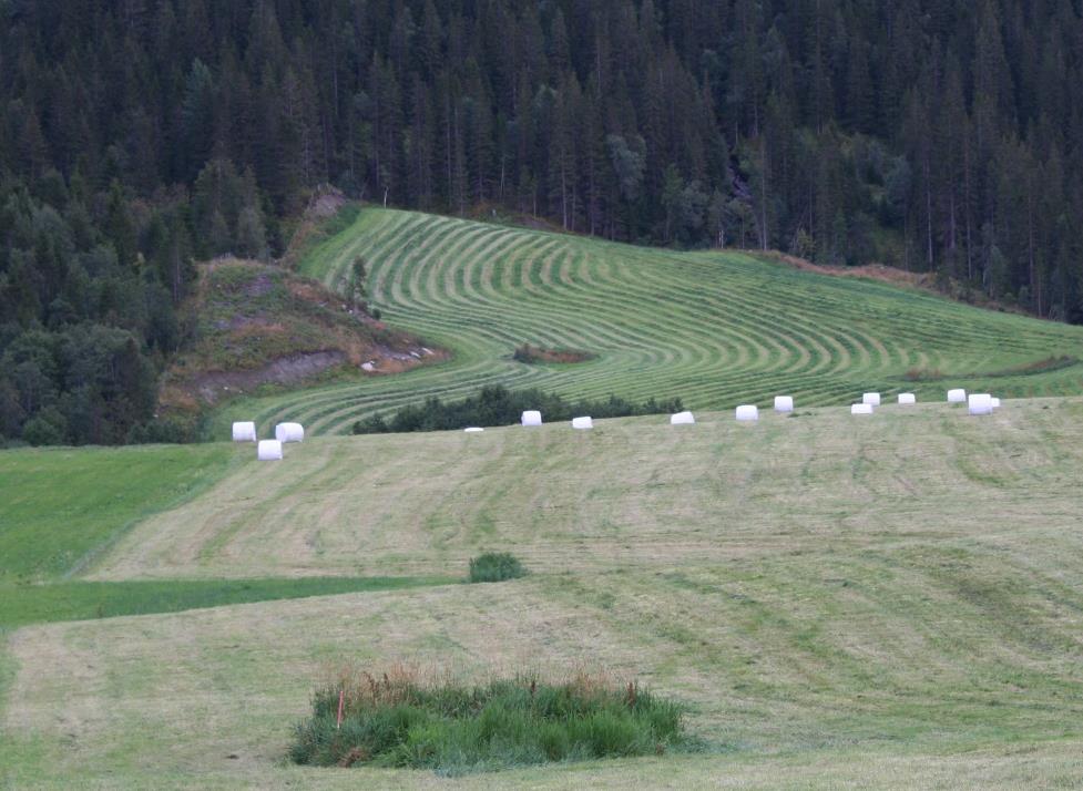 Veileder for miljøtilskudd i