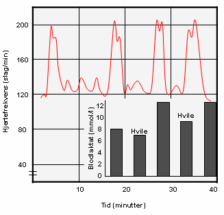 Trening av laktatsy ste met ( mel kesy re -sy stemet) Karakteristikkene av laktatsystemet tilsier også hø y intensitet og relativt korte arbeidsintervaller.