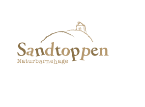 VEDTEKTER FOR Sandtoppen NATURBARNEHAGE AS Vedtekter