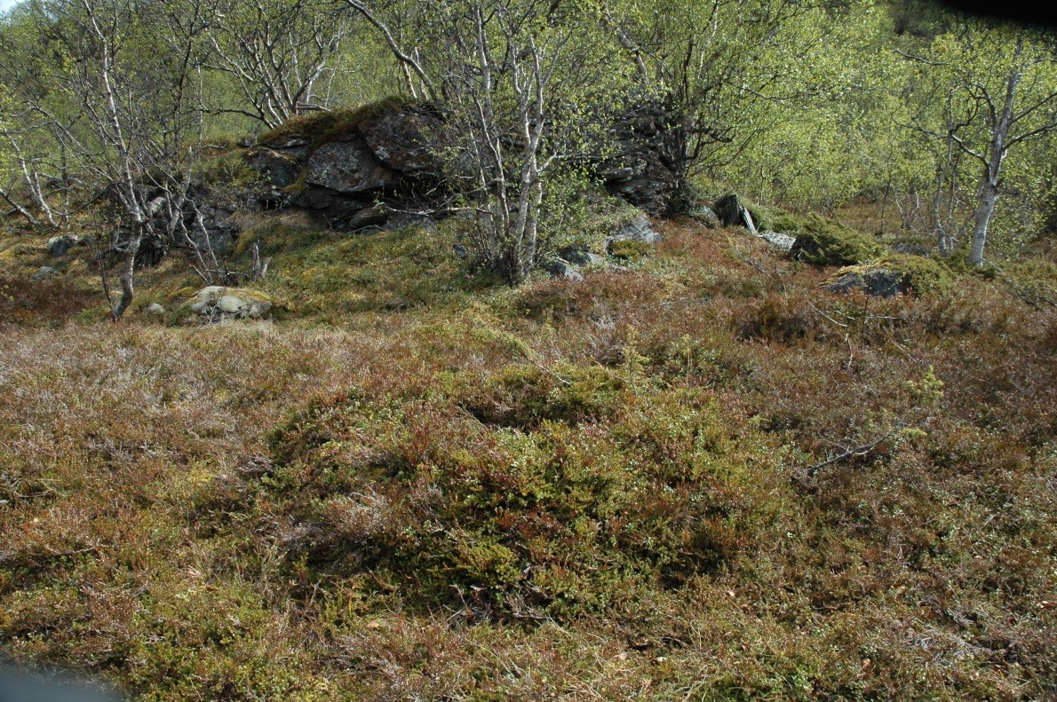 Haugene er tilnærmet rund og måler 2 meter i diameter og er 0,60 meter høy. Hullet i gropa er ca. 0,60 meter i diameter og 0,50 meter dypt.