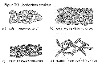 Fig. 19. Rasvinkel.