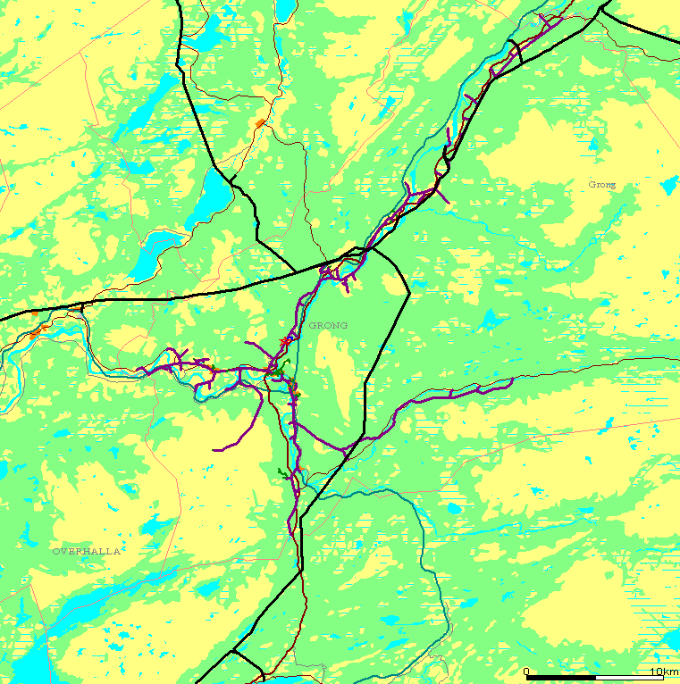 Lokal energiutredning 2013 GRONG 12 representerer den største nettlengden.