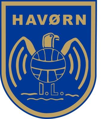 3 SPORTSPLAN HAVØRN FOTBALL 2014-2017 KLUBBENS VISJON: Alle medlemmer i Havørn Fotball skal få oppleve glede og utvikling gjennom trygge omgivelser, sportslige utfordringer og et sosialt miljø.