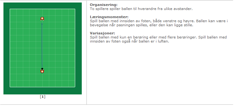 8 SPORTSPLAN HAVØRN FOTBALL 2014-2017 innføring i elementære basisteknikker skape lyst til ball-leik på fritida tilstrebe et samarbeid med øvrige grupper i klubben.