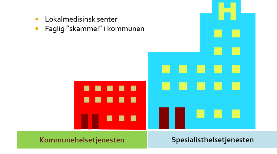 Hjemmesykepleie Sykehjem Legetjenesten Psyk.