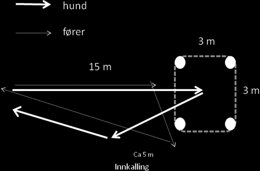av sidene i ruta. På ordre sender føreren hunden ut mot en markert rute, som skal være markert med en kjegle i hvert hjørne, plassert ca. 15 meter fra startpunktet. Ruta bør være plassert ca.