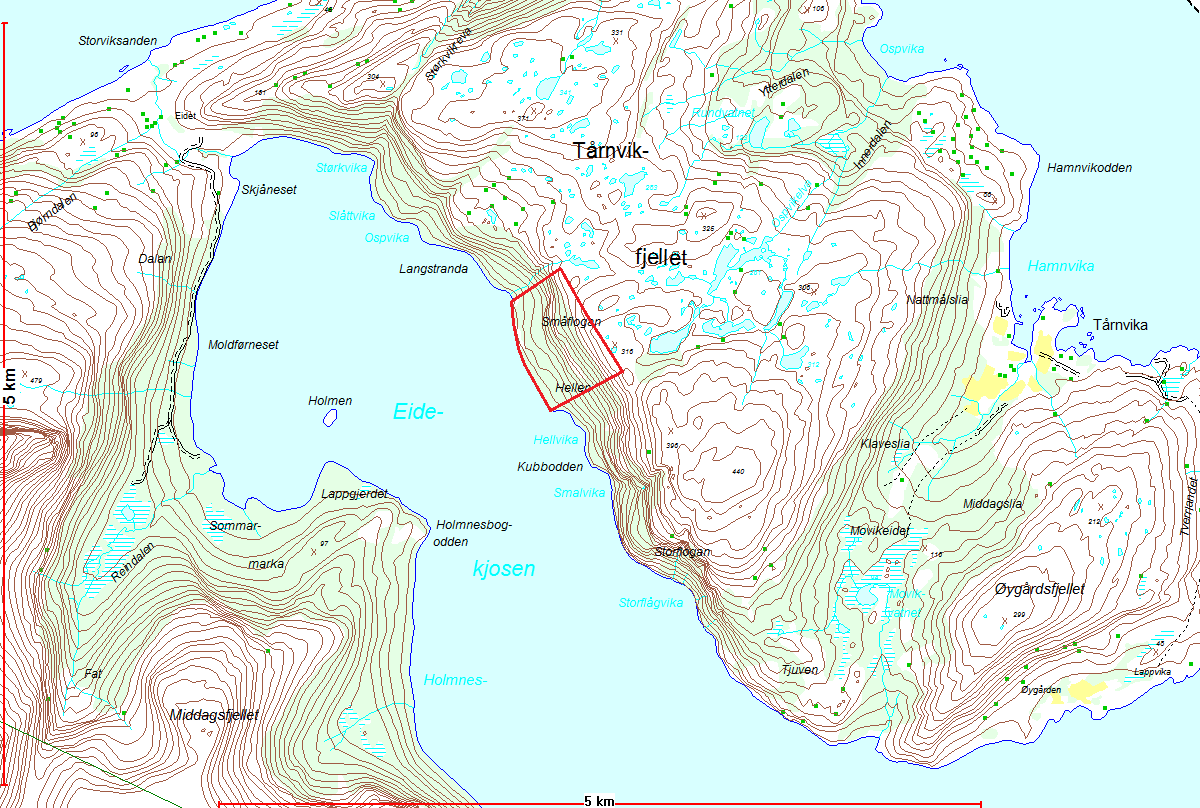 Innspill nr. 2b Område: Eidekjosen, Småflågan, Kjerringøy, 119/3, Bjarne Martin Eide Forslag: Fritidsboliger, planområdet er ikke avgrenset.