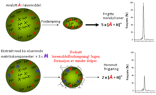 Kapittel 1 Innledning og bakgrunn C 18 -kolonne for kromatografisk separasjon, vil ionesuppresjon forårsaket av fosfatidylcholin, lipider og andre hydrofobe forbindelser oppstå ved henholdsvis 70-90
